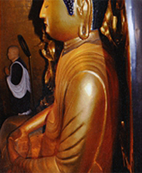 阿弥陀如来座像　側面